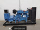 Alternador trifásico diesel de encargo de la CA de Witn del sistema de generador del color YUCHAI