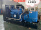 Generador diesel de la UL del generador de la refrigeración por agua de 100 kilovatios pequeño 12 meses de garantía